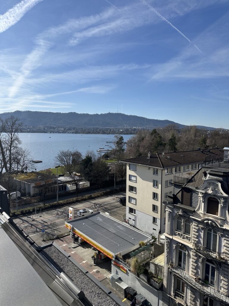 Aussicht vom Neubau Horneggstrasse 4, Zürich Seefeld
